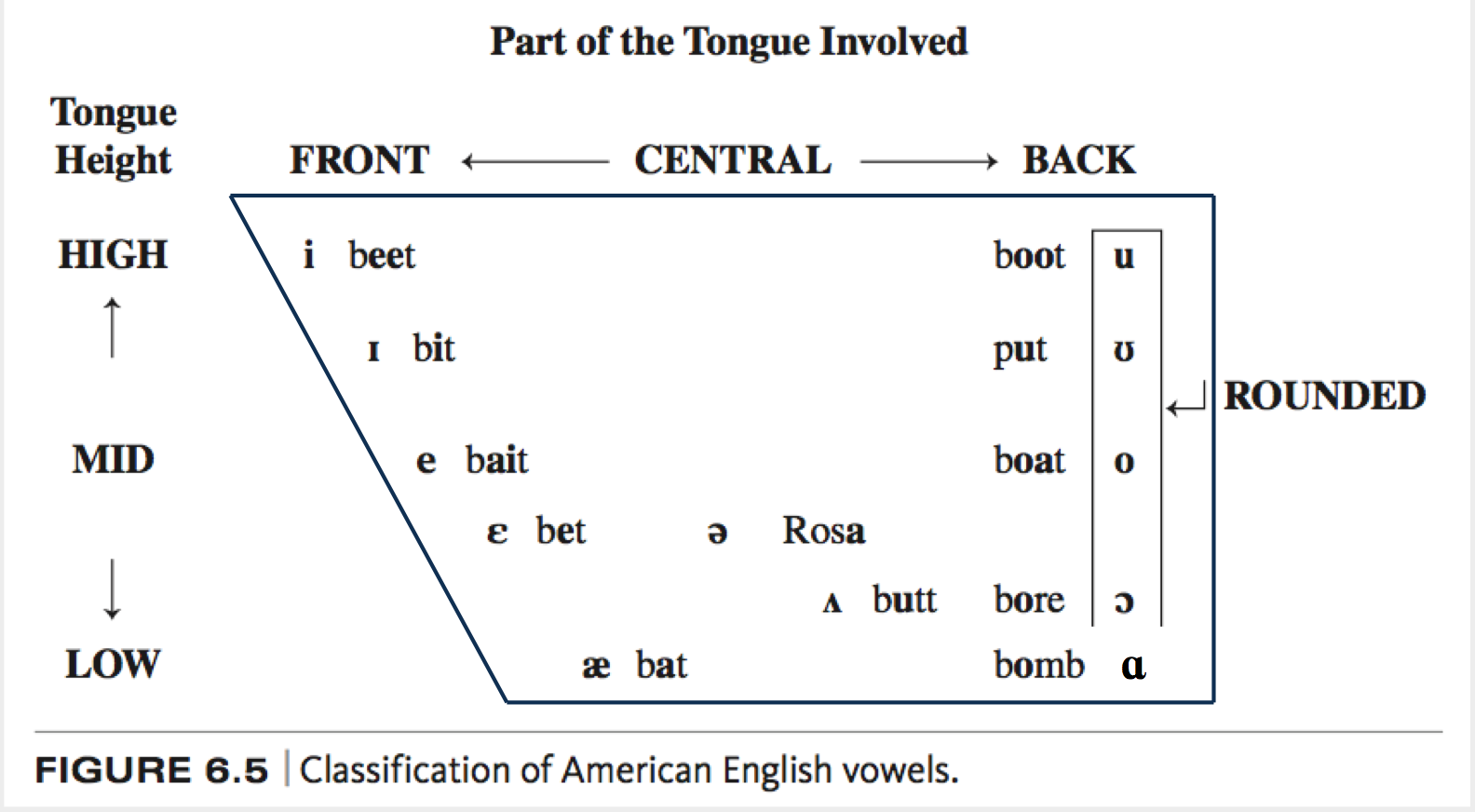 Carden Vowel Chart