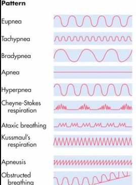 ImageQuiz: breathing patterns